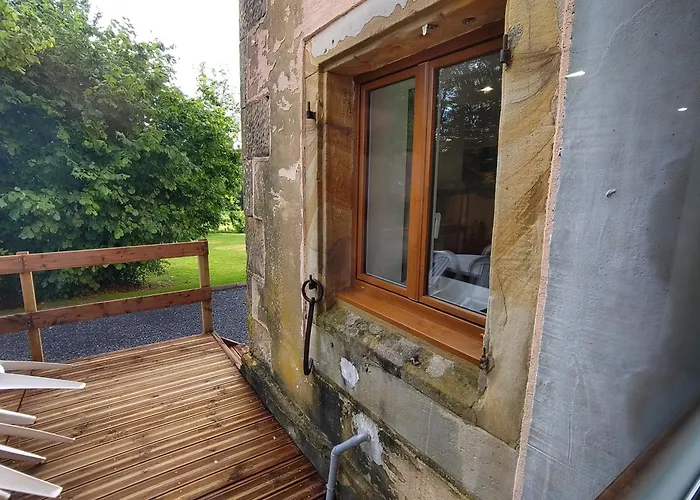 Des Ecureuils * Aydoilles